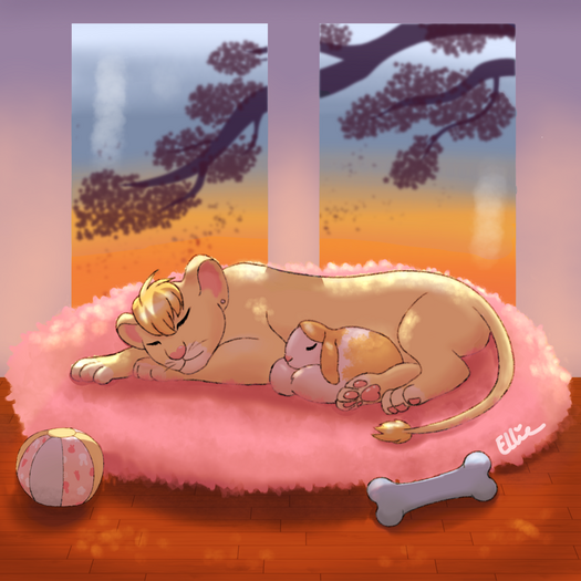 YolliePets